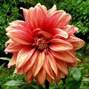 Meet your Posher, Bryan